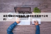 麻花传媒MV有限公司（麻花影视是哪个公司的）